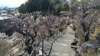 Village Masa イベント